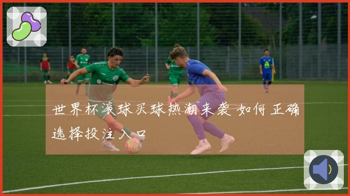 世界杯滚球买球热潮来袭 如何正确选择投注入口