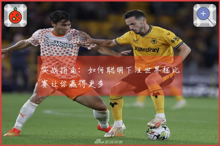 实战指南：如何聪明下注世界杯比赛让你赢得更多