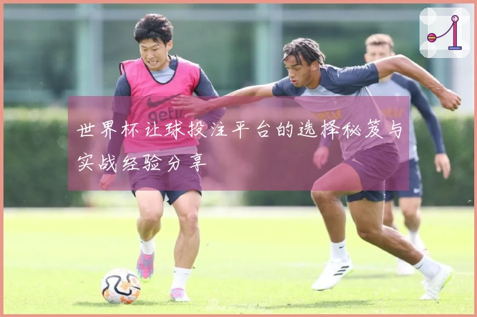 世界杯让球投注平台的选择秘笈与实战经验分享