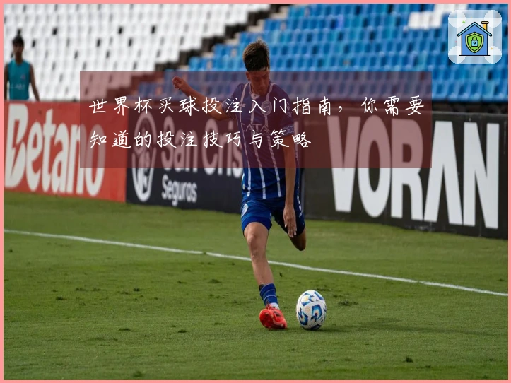 世界杯买球投注入门指南，你需要知道的投注技巧与策略