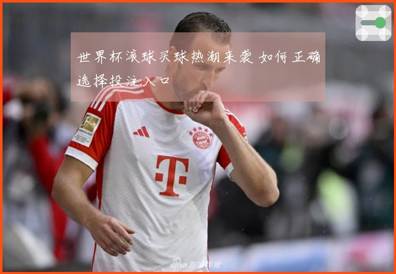 世界杯滚球买球热潮来袭 如何正确选择投注入口