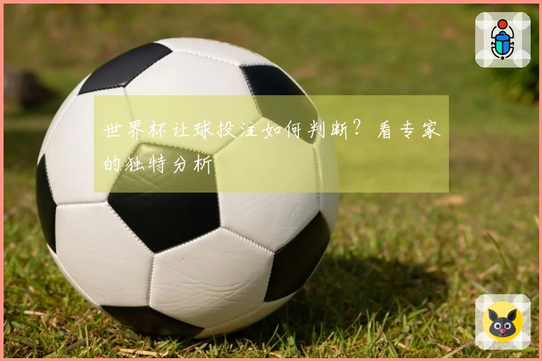 世界杯让球投注如何判断？看专家的独特分析