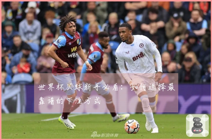 世界杯买球新手必看：如何选择最靠谱的下注方式