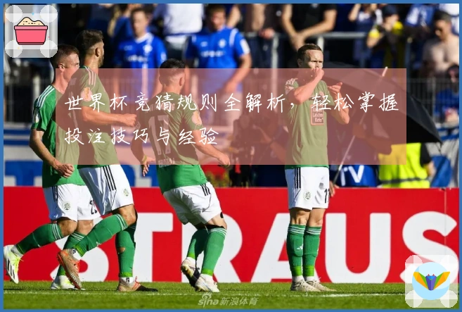 世界杯竞猜规则全解析，轻松掌握投注技巧与经验