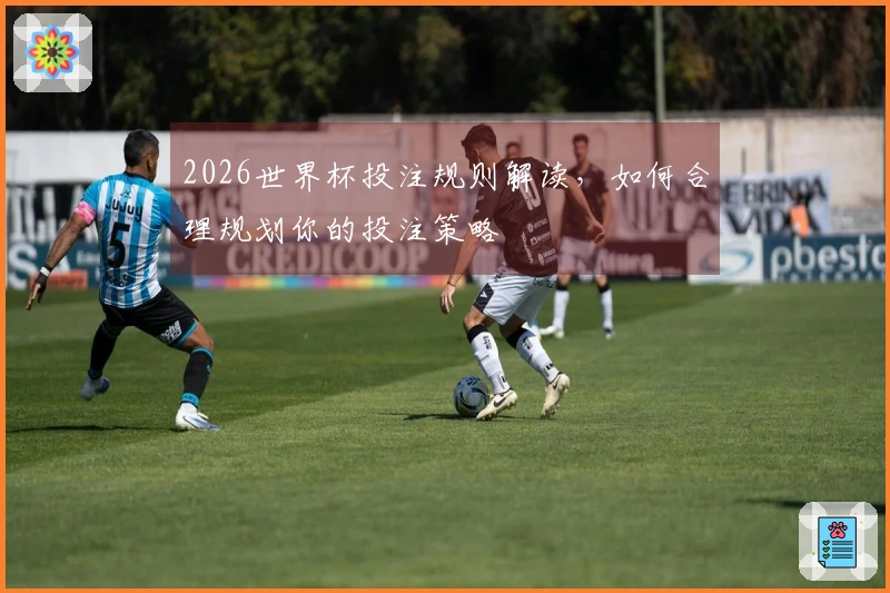 2026世界杯投注规则解读，如何合理规划你的投注策略